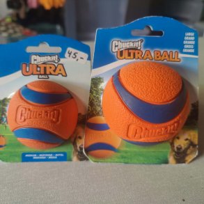 Bold uden snor