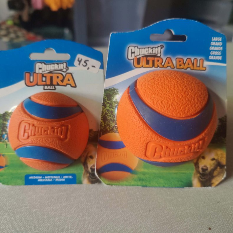 Bold uden snor